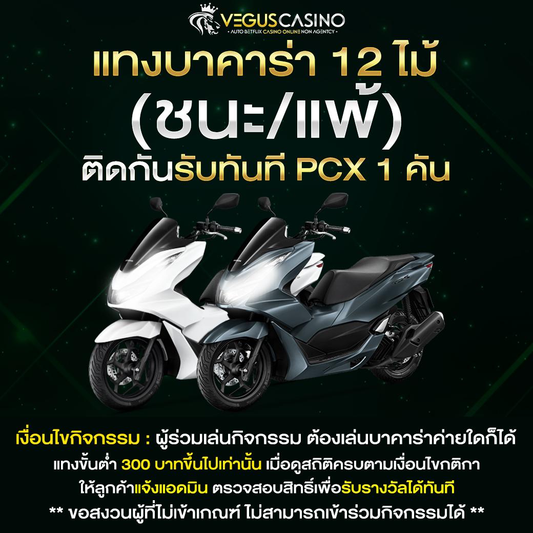 หวยcat888 เว็บตรง สล็อต ฝากถอนออโต้ ไม่ผ่านเอเย่นต์ 2026